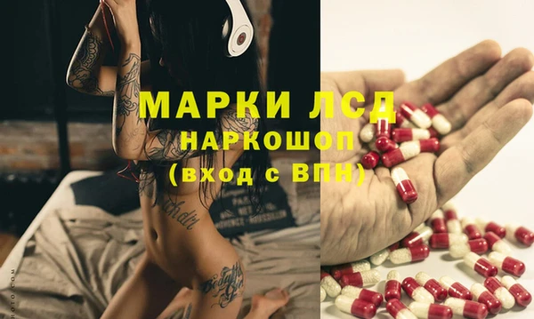 гидропоника Кулебаки