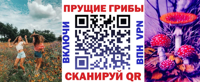 Галлюциногенные грибы мухоморы hydra ONION Петропавловск-Камчатский
