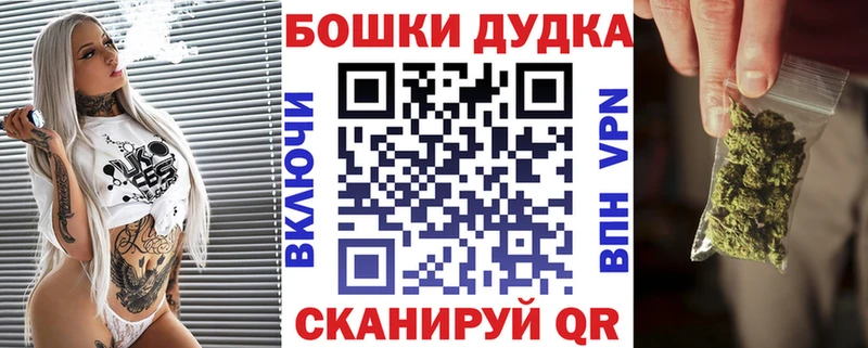 где найти наркотики  Петропавловск-Камчатский  Конопля ГИДРОПОН 